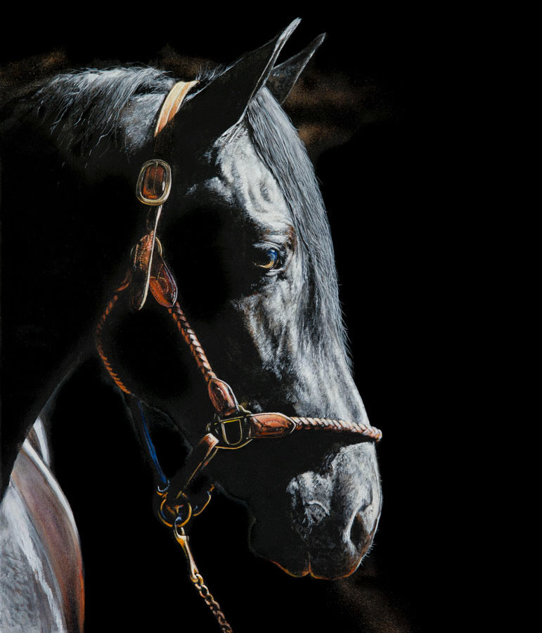 Rud Álainn - 1/100 LIMITED EDITION GICLEE PRINT