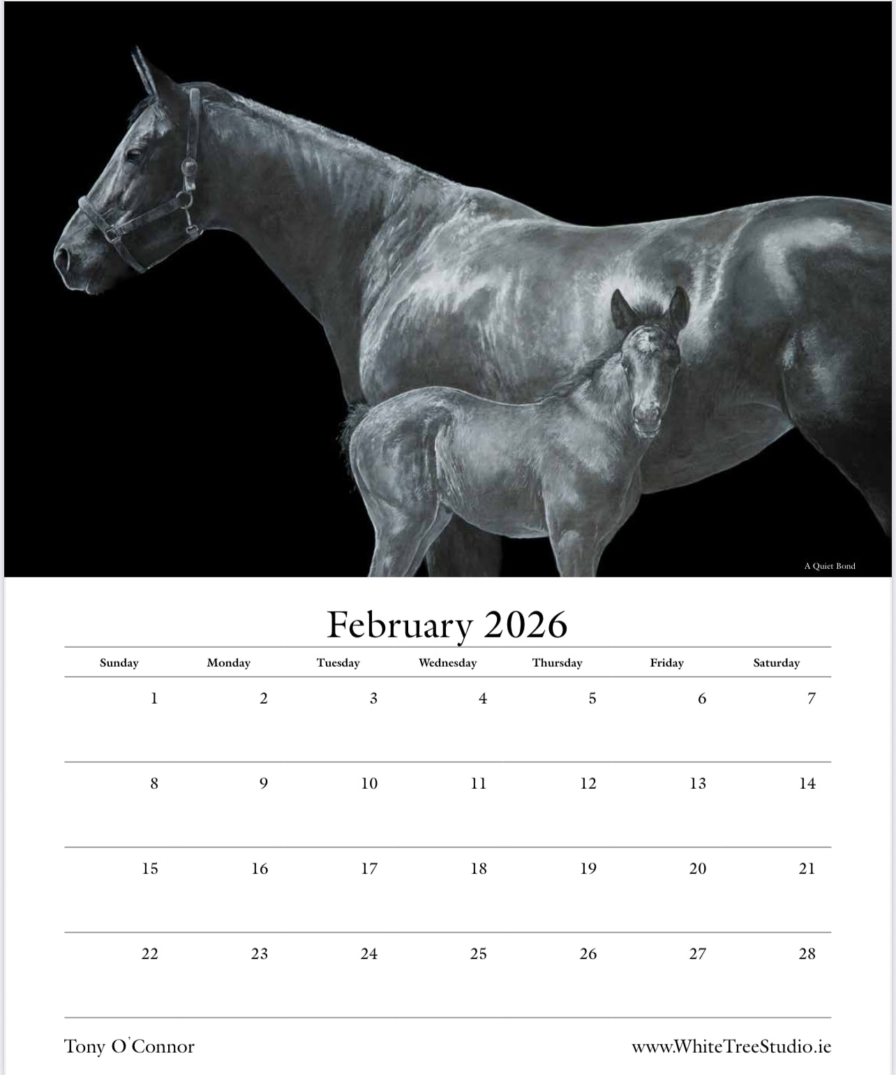 LIMITED EDITION 2026 CALENDAR