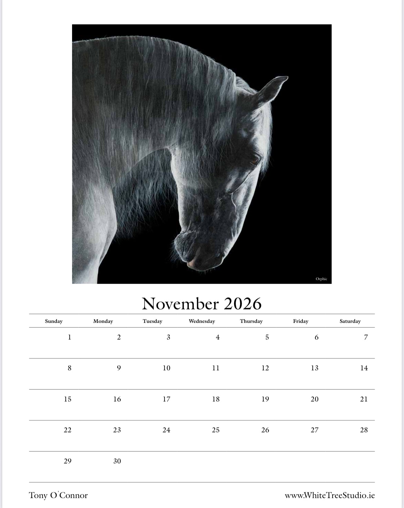 LIMITED EDITION 2026 CALENDAR