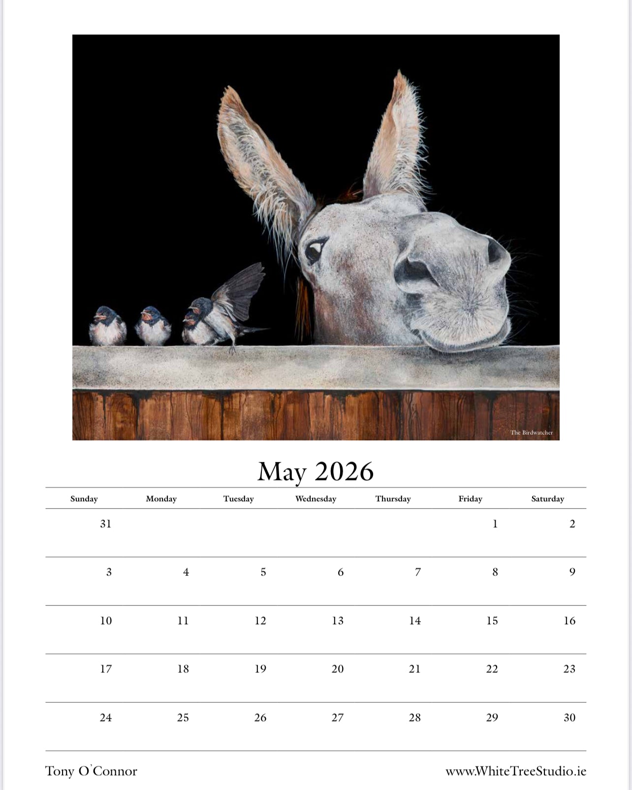 LIMITED EDITION 2026 CALENDAR