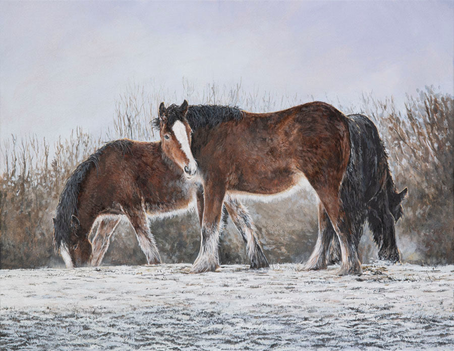 ‘The First fall of Winter’ Limited Edition print