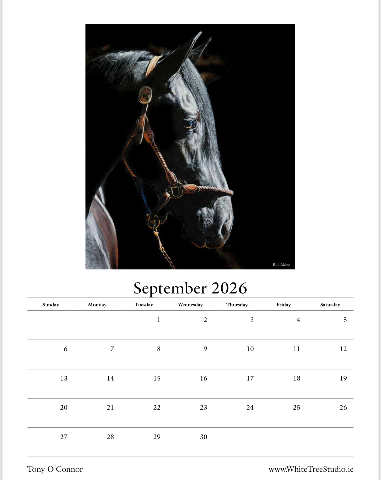 LIMITED EDITION 2026 CALENDAR