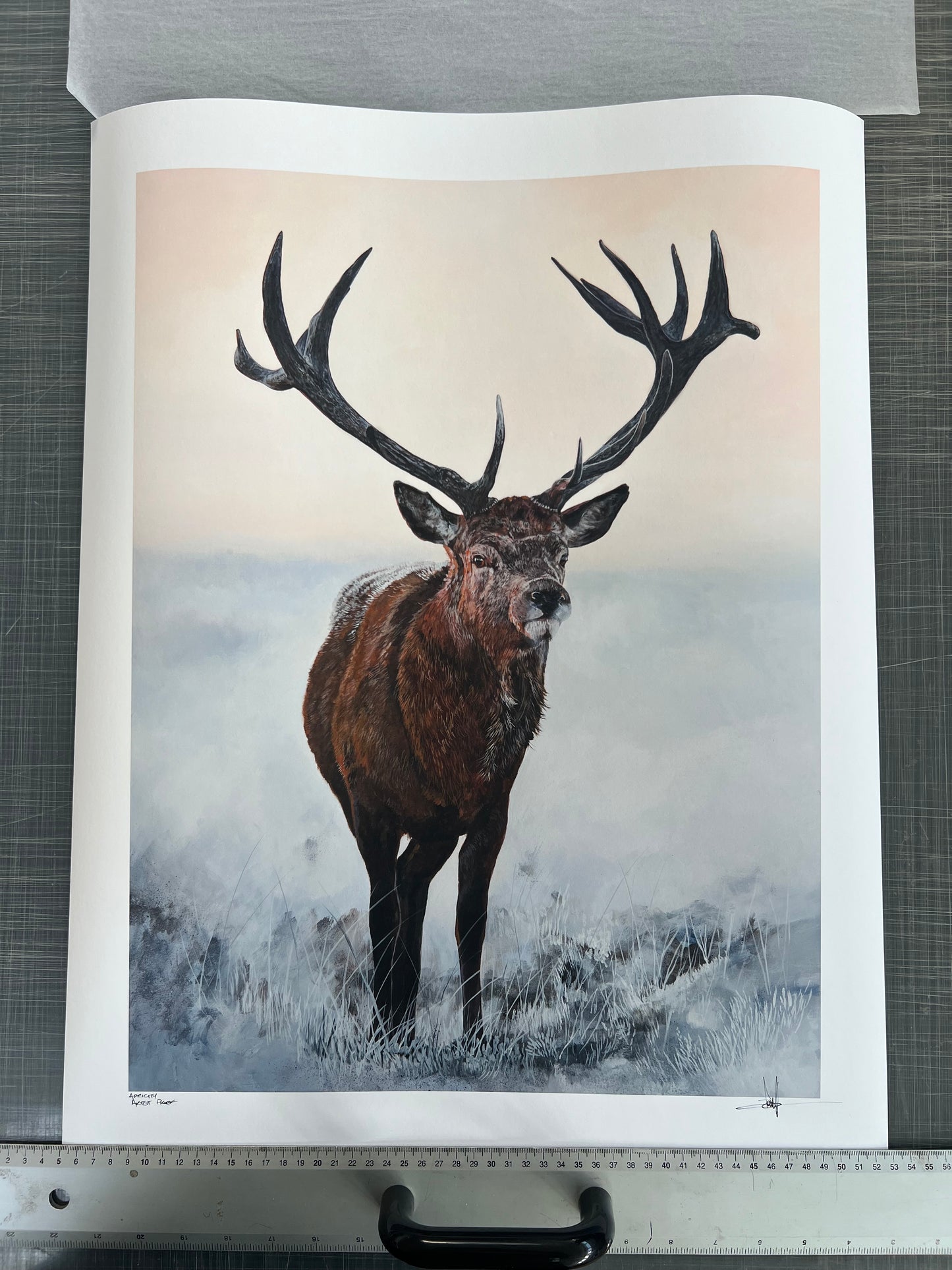 ‘APRICITY’ LIMITED EDITION 1/50 FINE ART PRINT