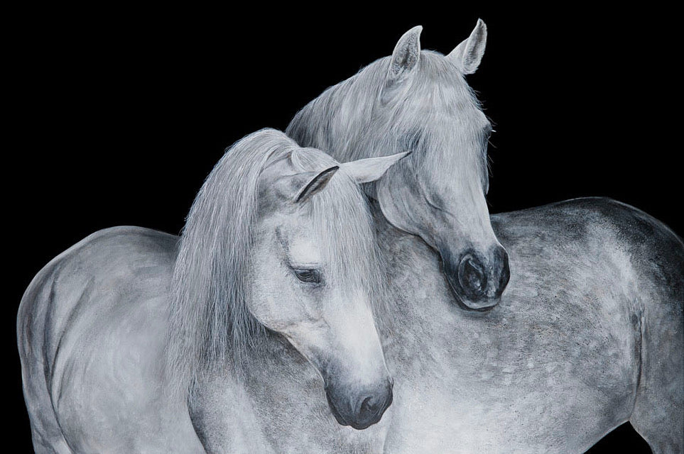 A Soft Shoulder - limited edition print