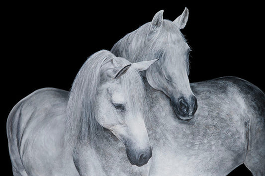 A Soft Shoulder - limited edition print