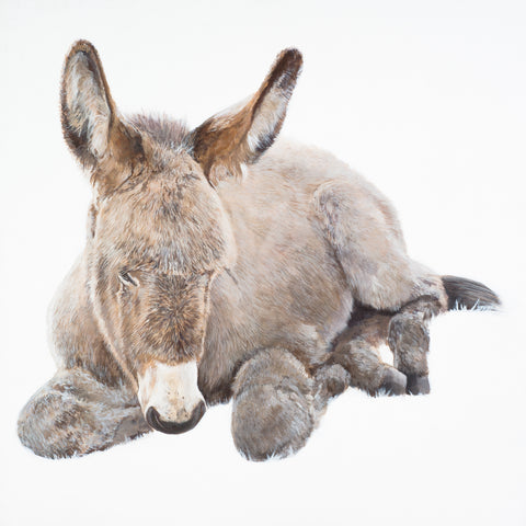 An Asal Beag (The Little Donkey) limited edition print