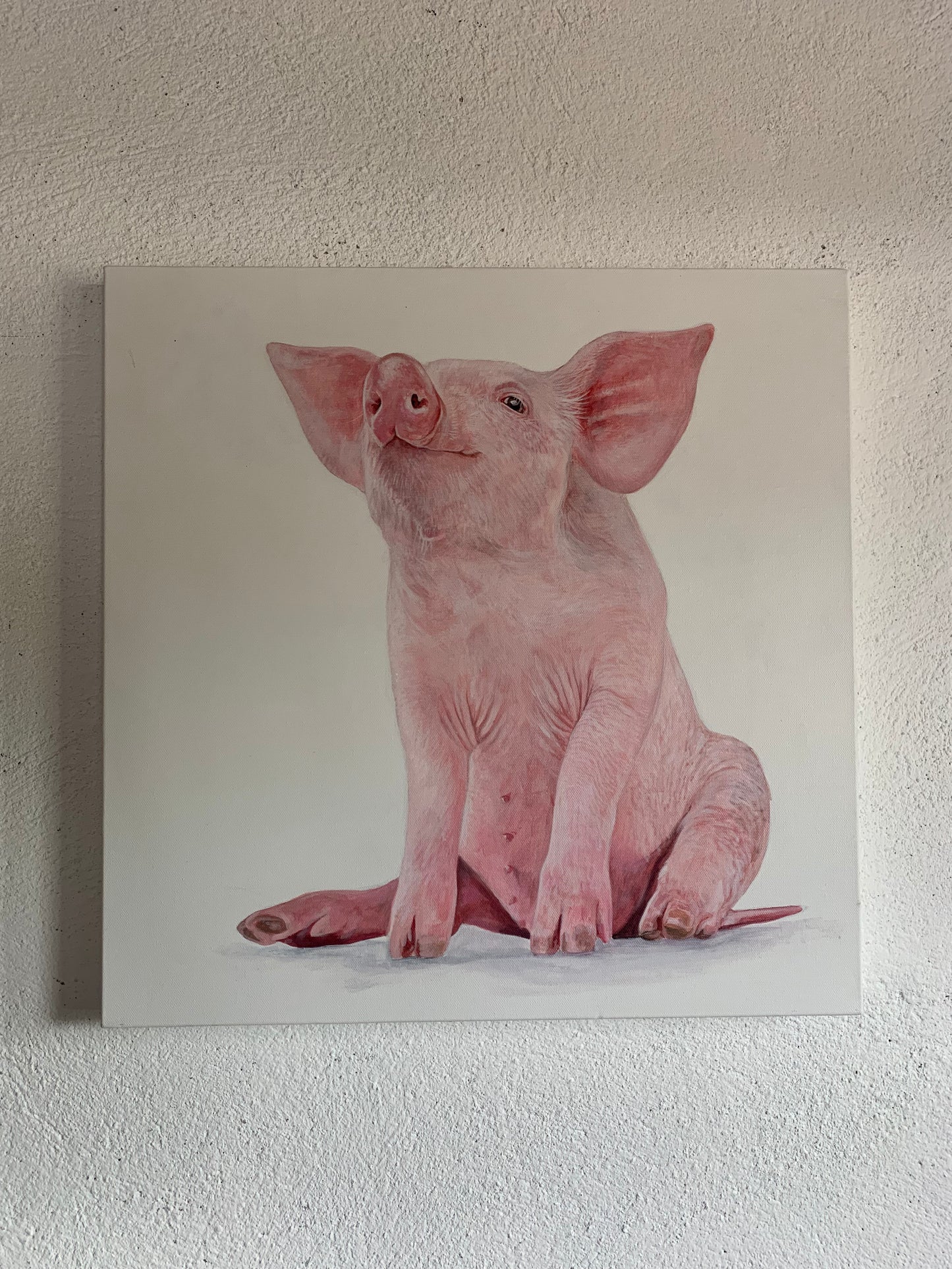 Three Little Piggies (set)
