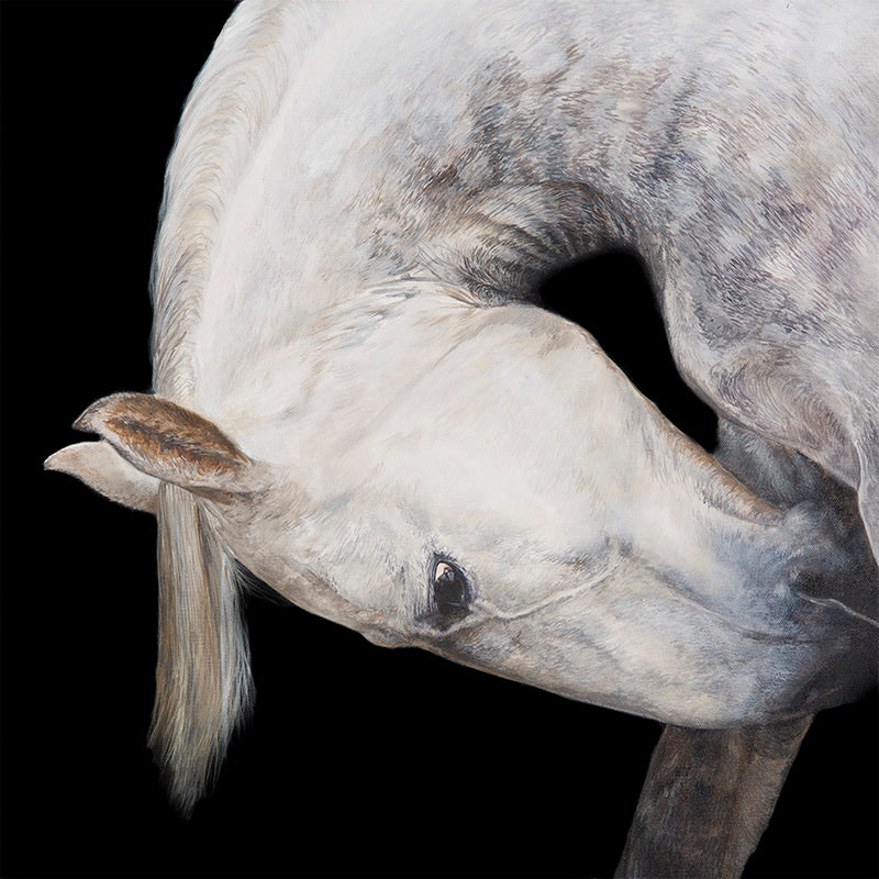 Genuflect - New very limited edition fine art print