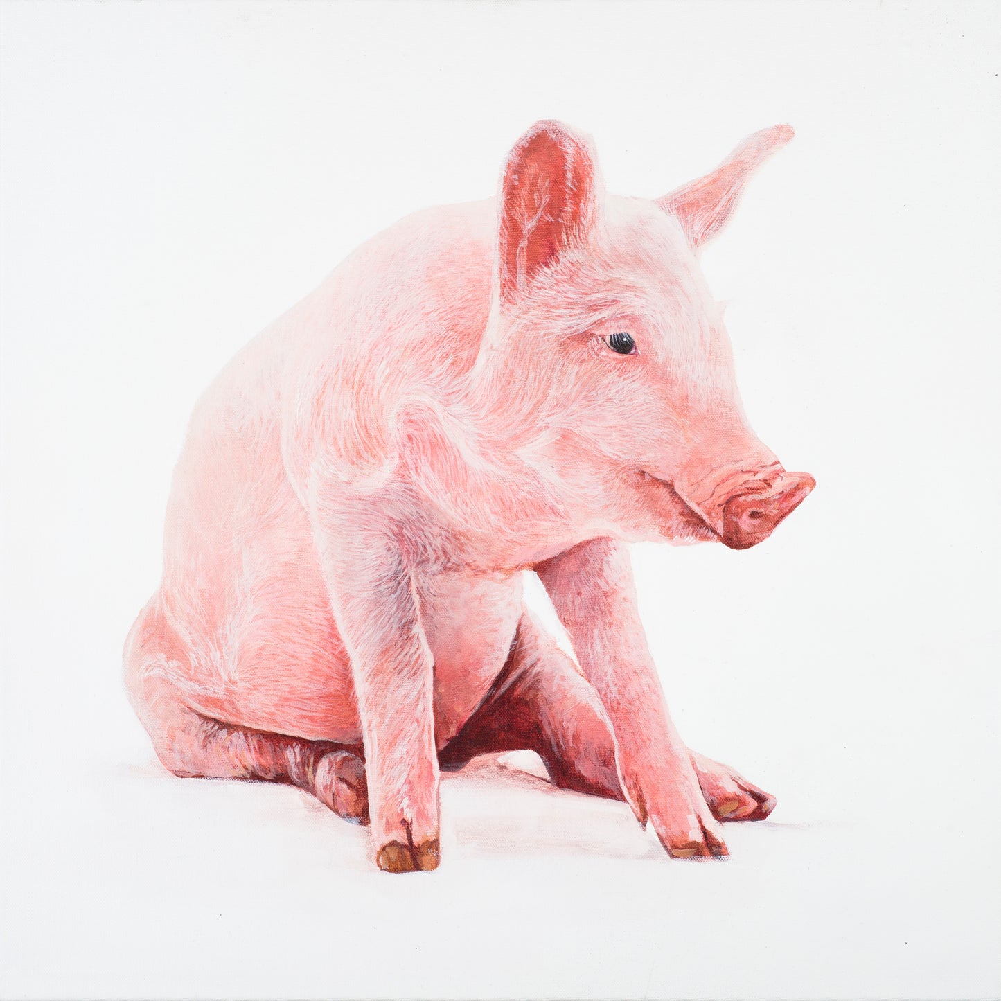 Limited Edition Michael D Piggins