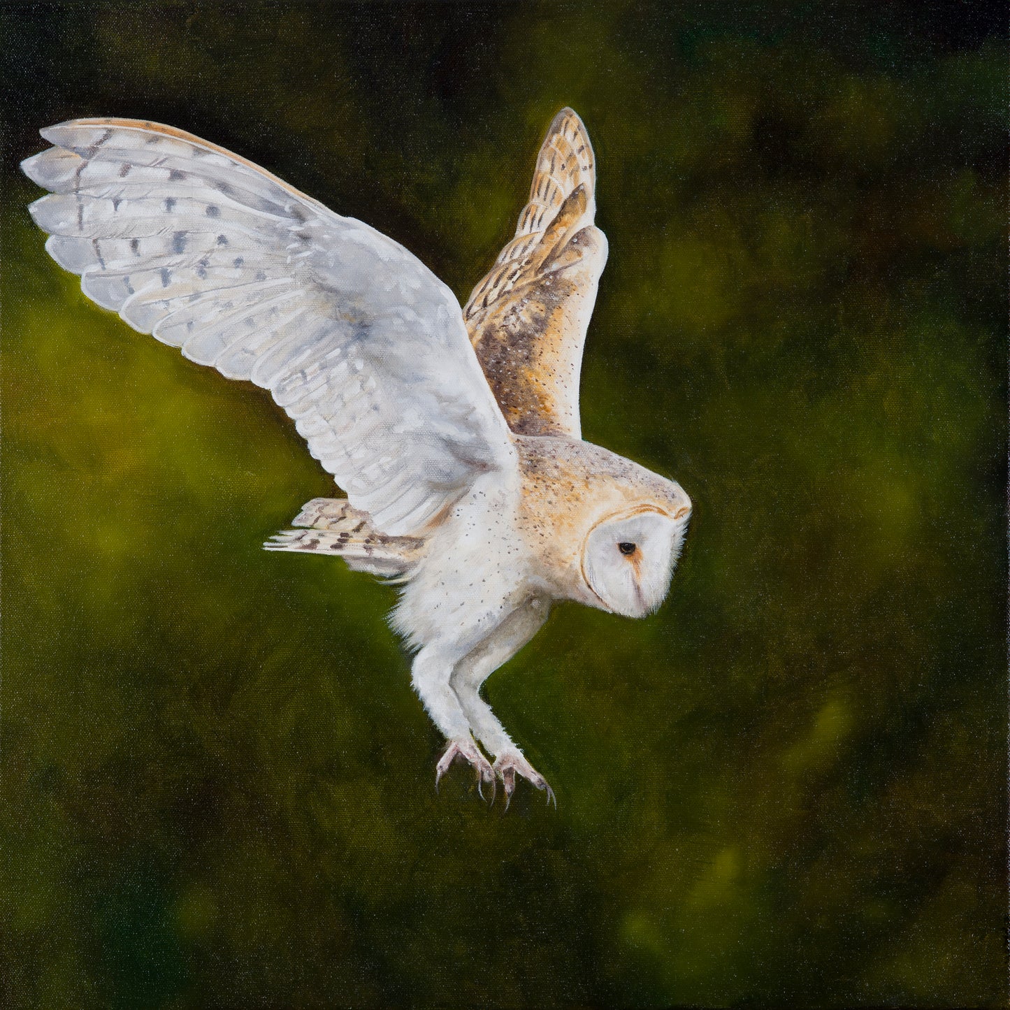 NEW LIMITED EDITION ‘AG EITILT’ giclee print