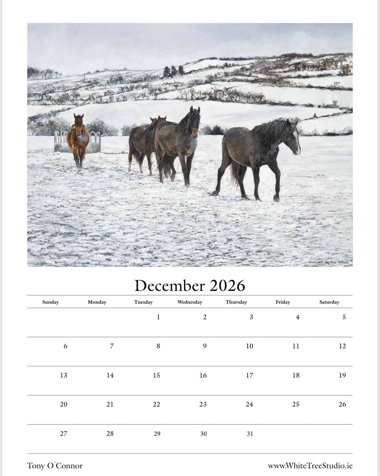 LIMITED EDITION 2026 CALENDAR