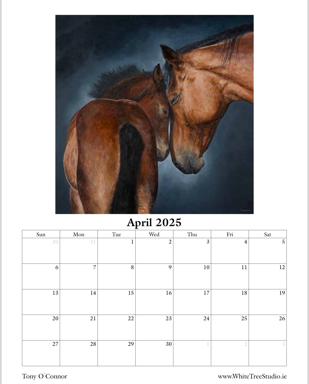 LIMITED EDITION 2025 CALENDAR