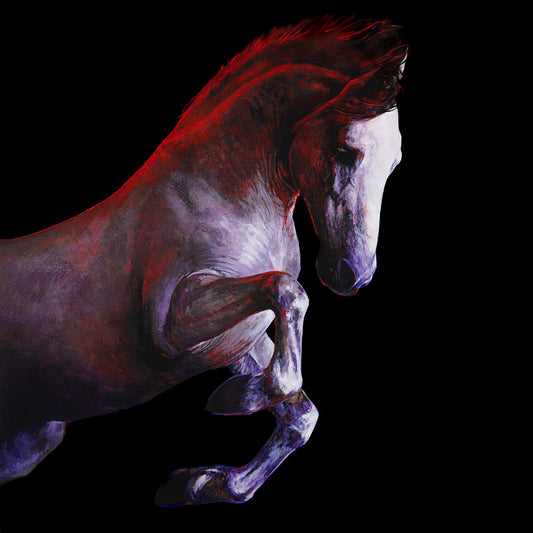 NEBULA - limited edition giclee print 1/50