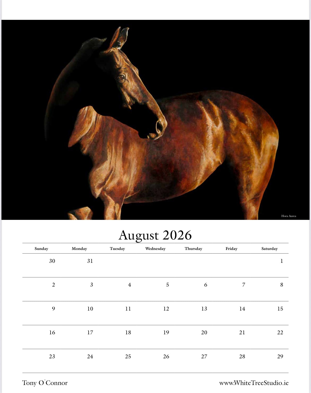 LIMITED EDITION 2026 CALENDAR