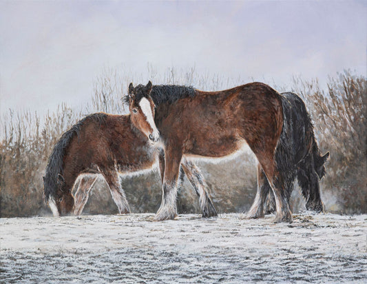 ‘The First fall of Winter’ Limited Edition print