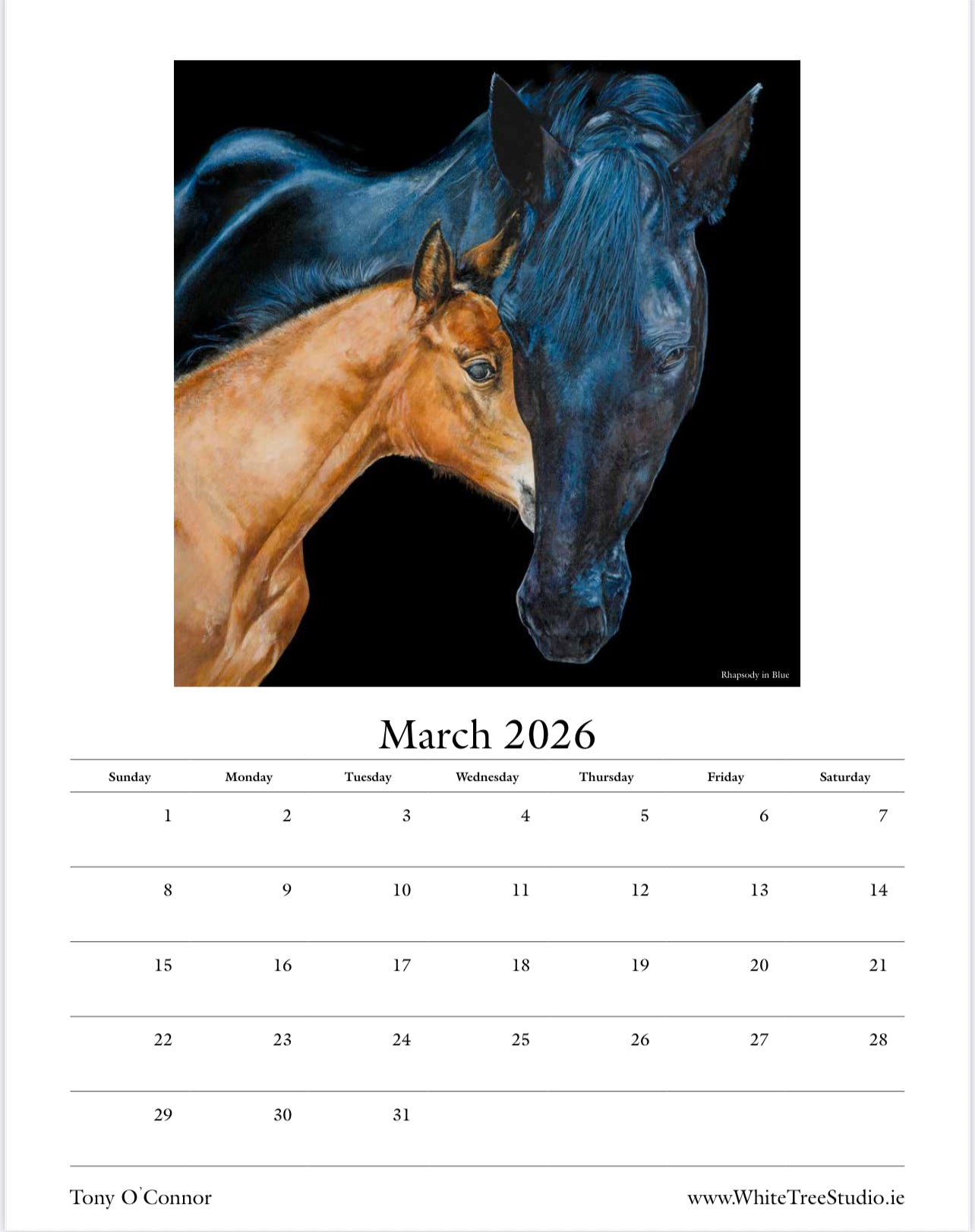 LIMITED EDITION 2026 CALENDAR