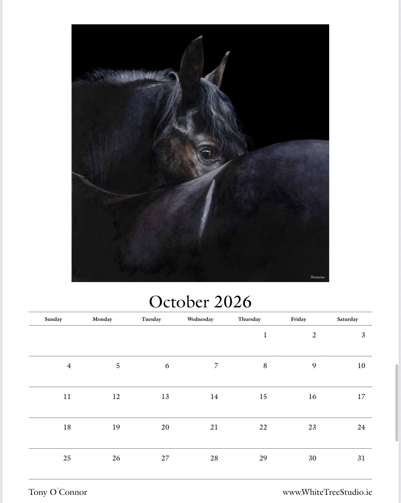 LIMITED EDITION 2026 CALENDAR