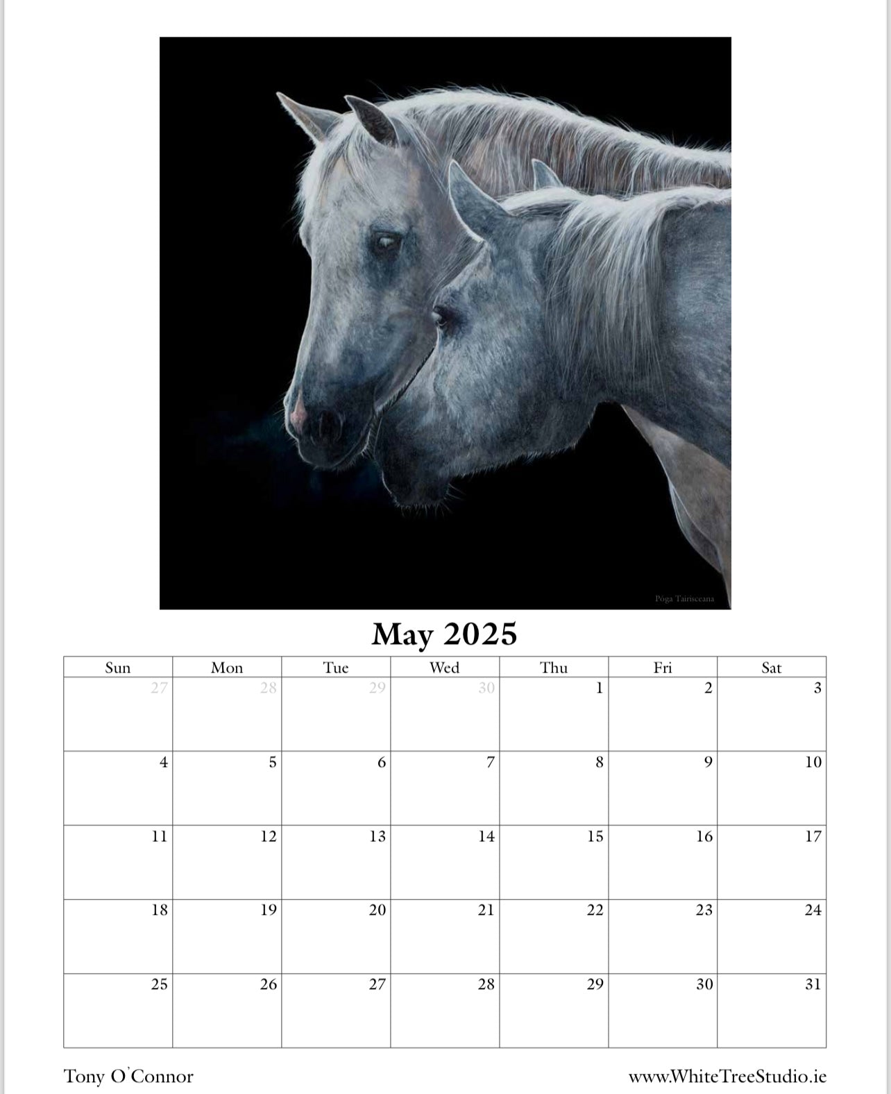 LIMITED EDITION 2025 CALENDAR