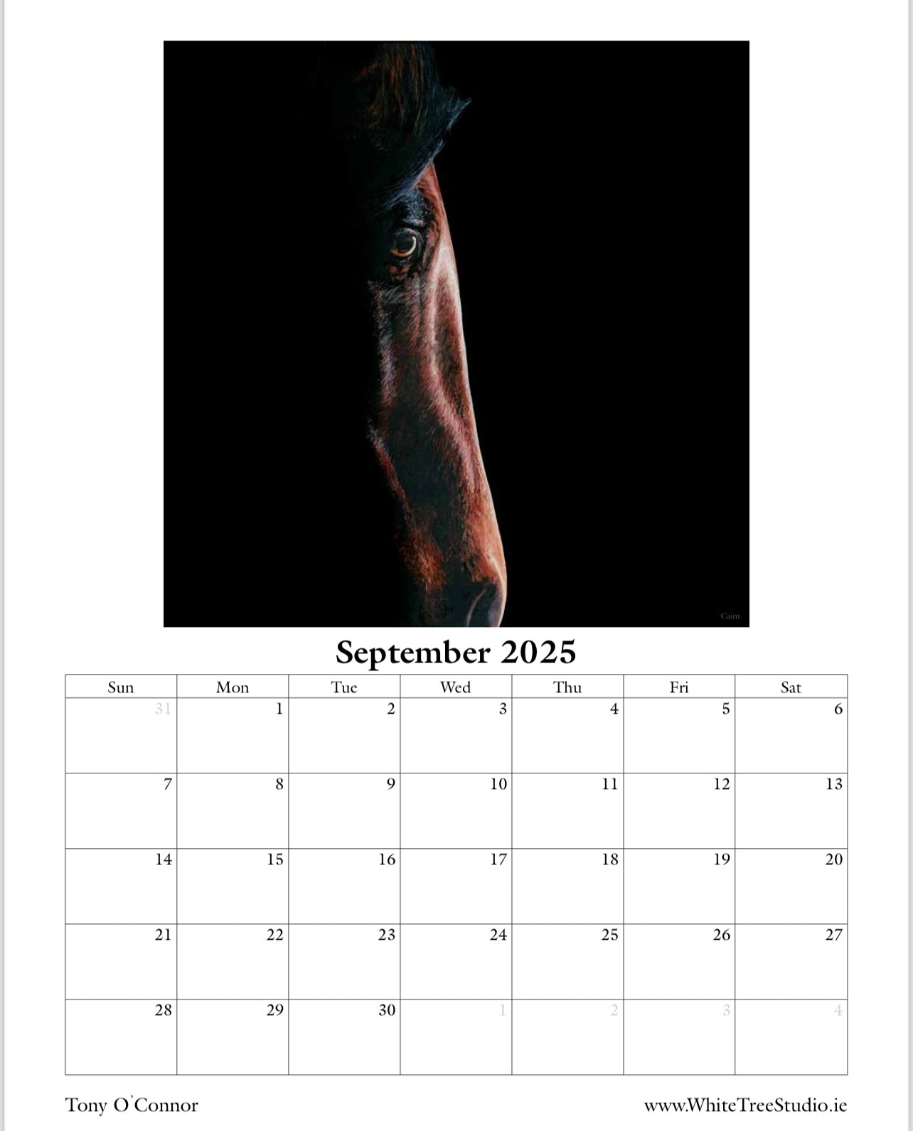 LIMITED EDITION 2025 CALENDAR