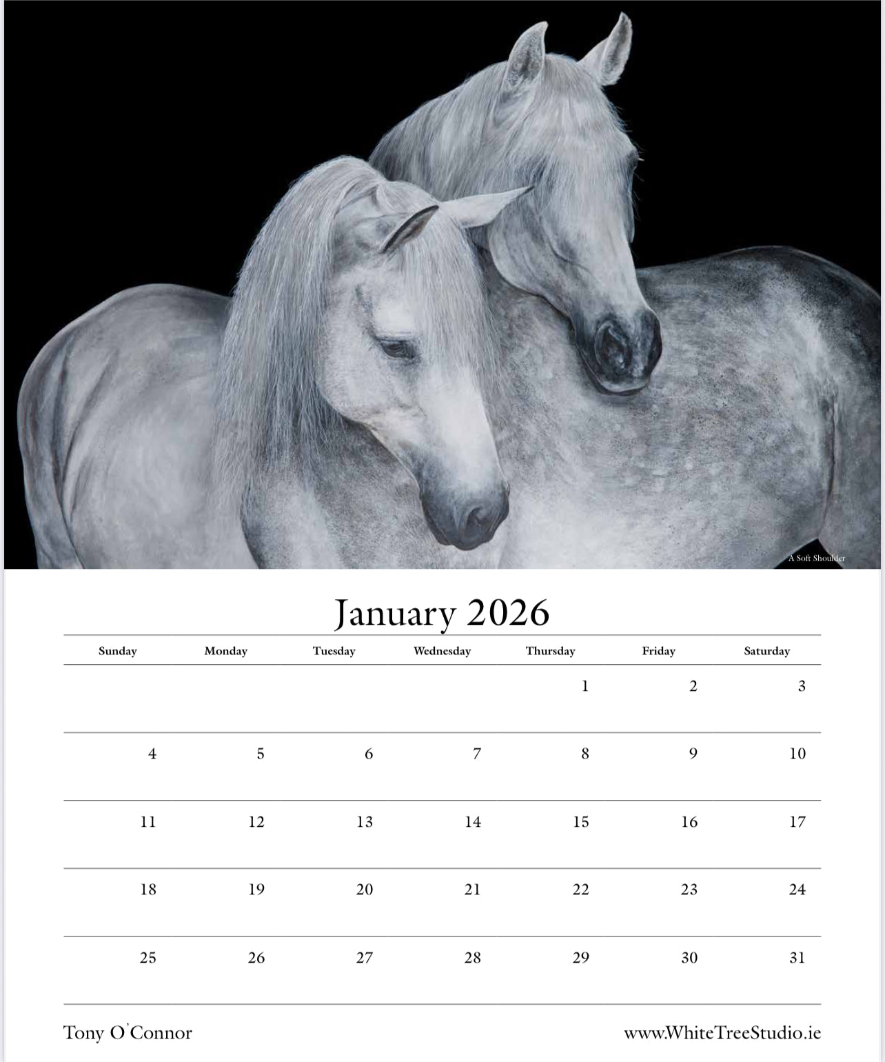 LIMITED EDITION 2026 CALENDAR