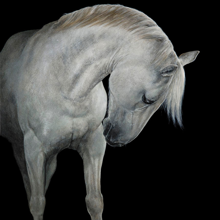 Geronimo - 1/50 limited edition fine art print.