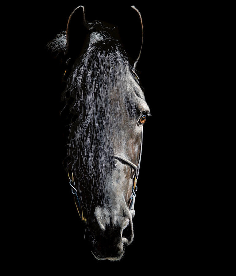 ‘The Stillness of Strength’  - limited edition fine art print