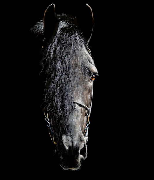 ‘The Stillness of Strength’  - limited edition fine art print