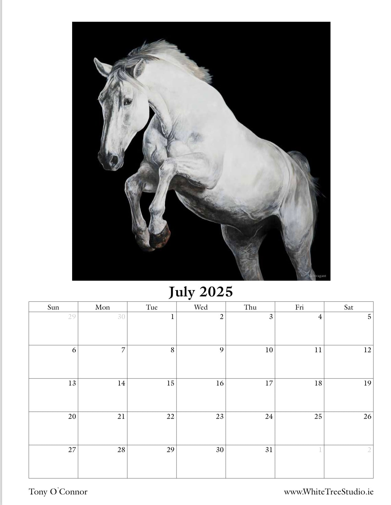 LIMITED EDITION 2025 CALENDAR