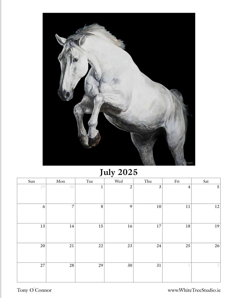 limited-edition-2025-calendar-tony-o-connor