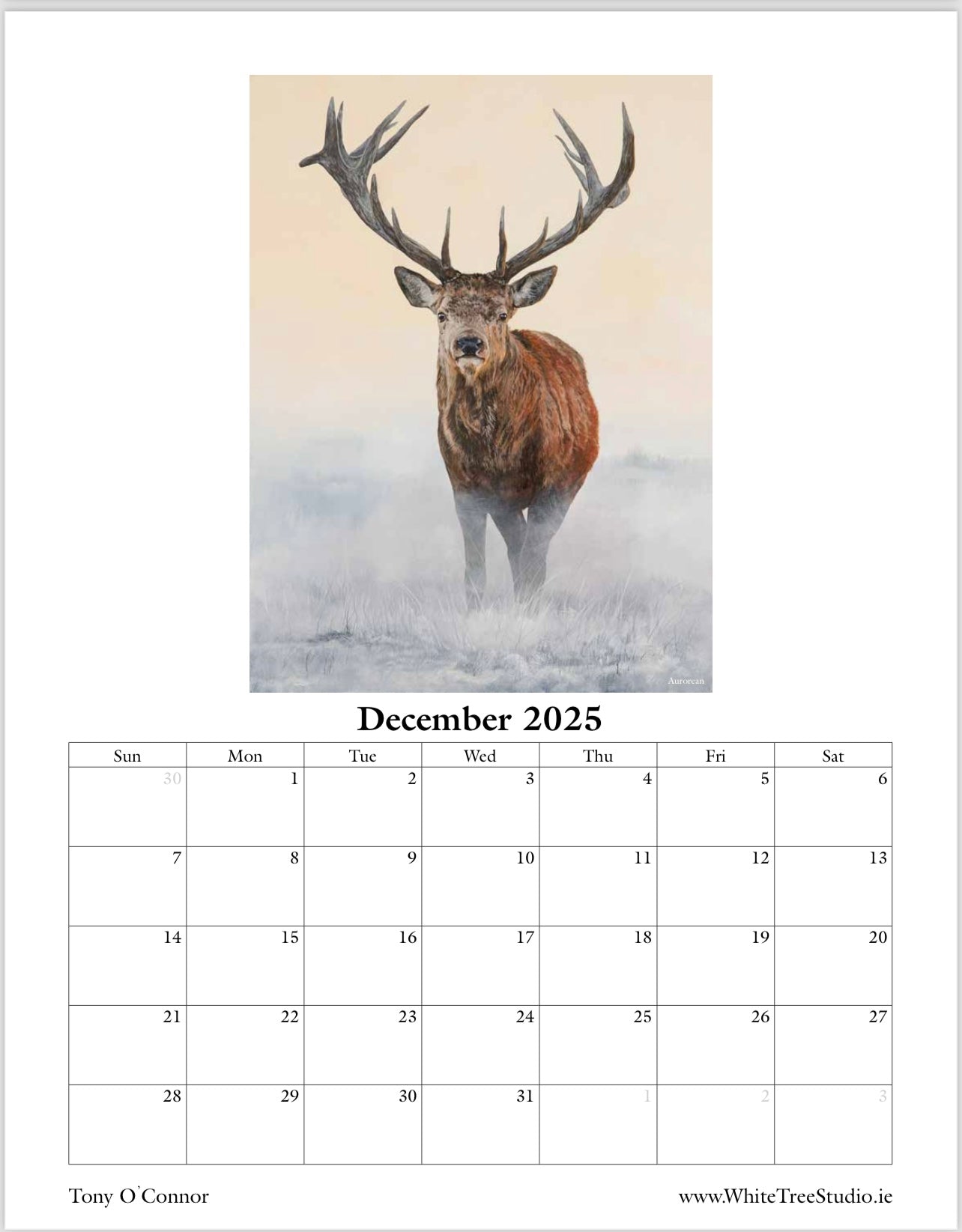 LIMITED EDITION 2025 CALENDAR