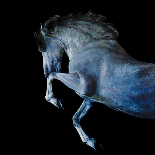 GLACIES - limited edition giclee print