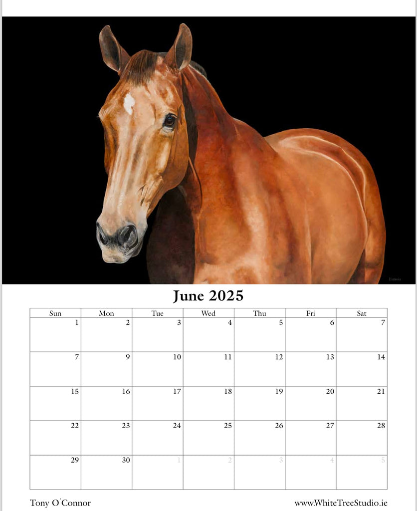 Horse Calendar 2025 September 2025