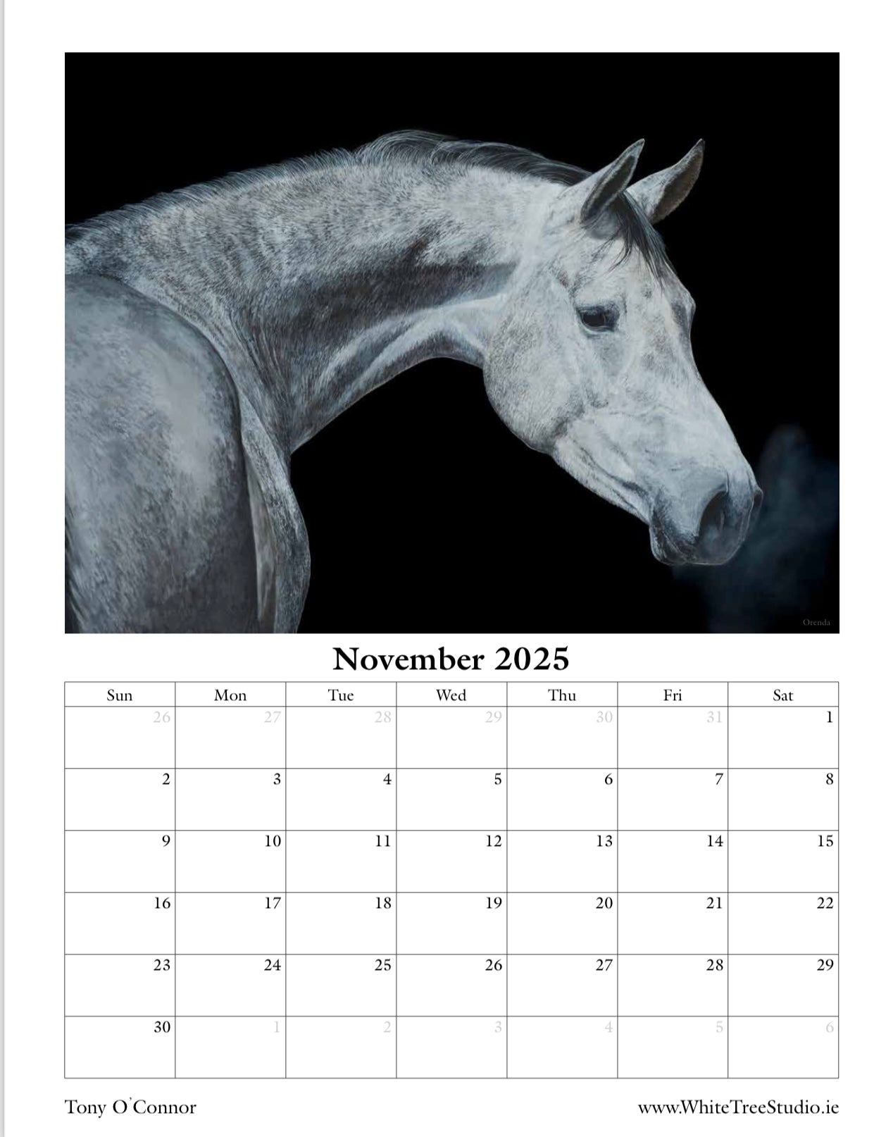 LIMITED EDITION 2025 CALENDAR