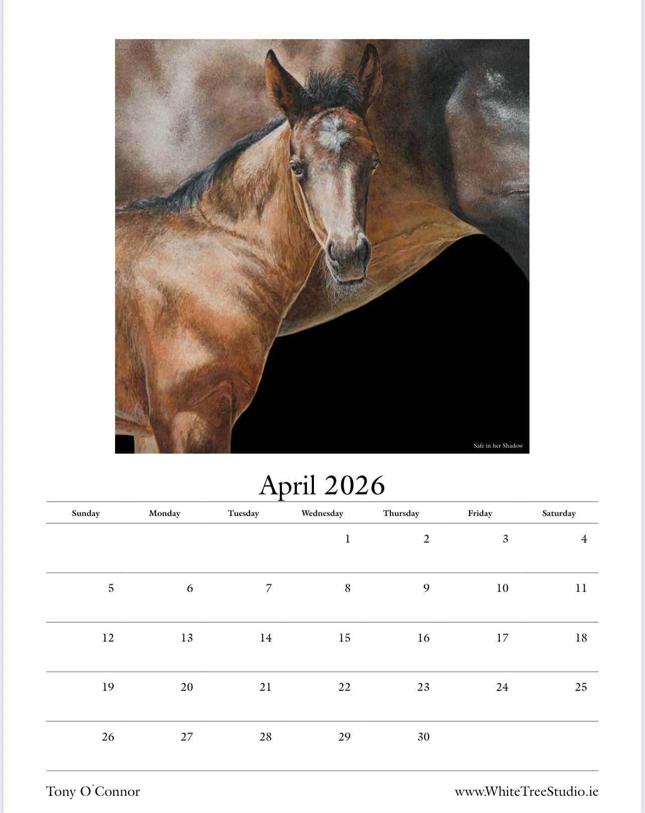 LIMITED EDITION 2026 CALENDAR