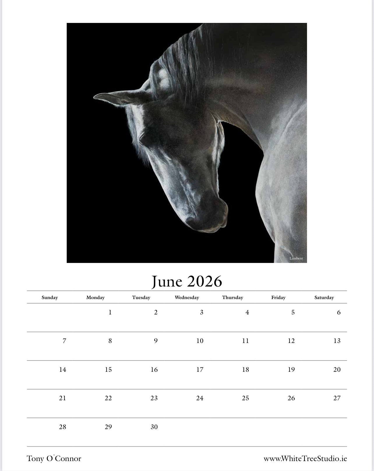 LIMITED EDITION 2026 CALENDAR