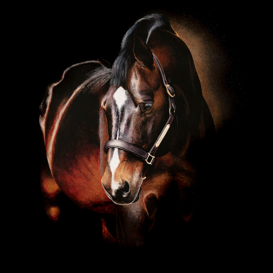 Caballero - Limited Edition Giclée Print 1/50