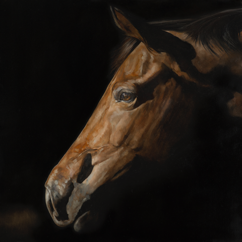 LIMITED EDITION Fine Art Giclée Print 'First Light'