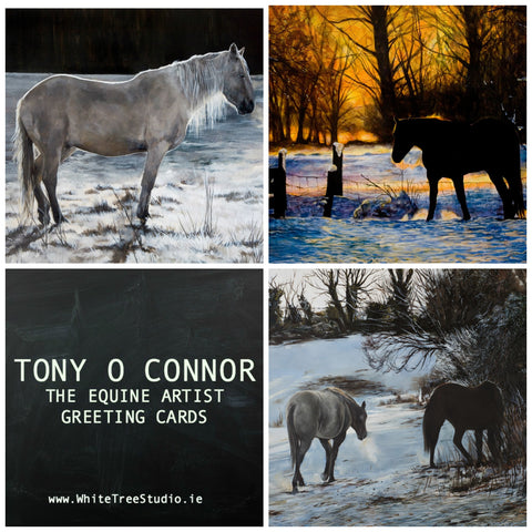 Tony O Connor Greeting Cards 6-Pack