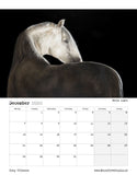 Tony O Connor 2020 Equine Art Calendar Limited Edition