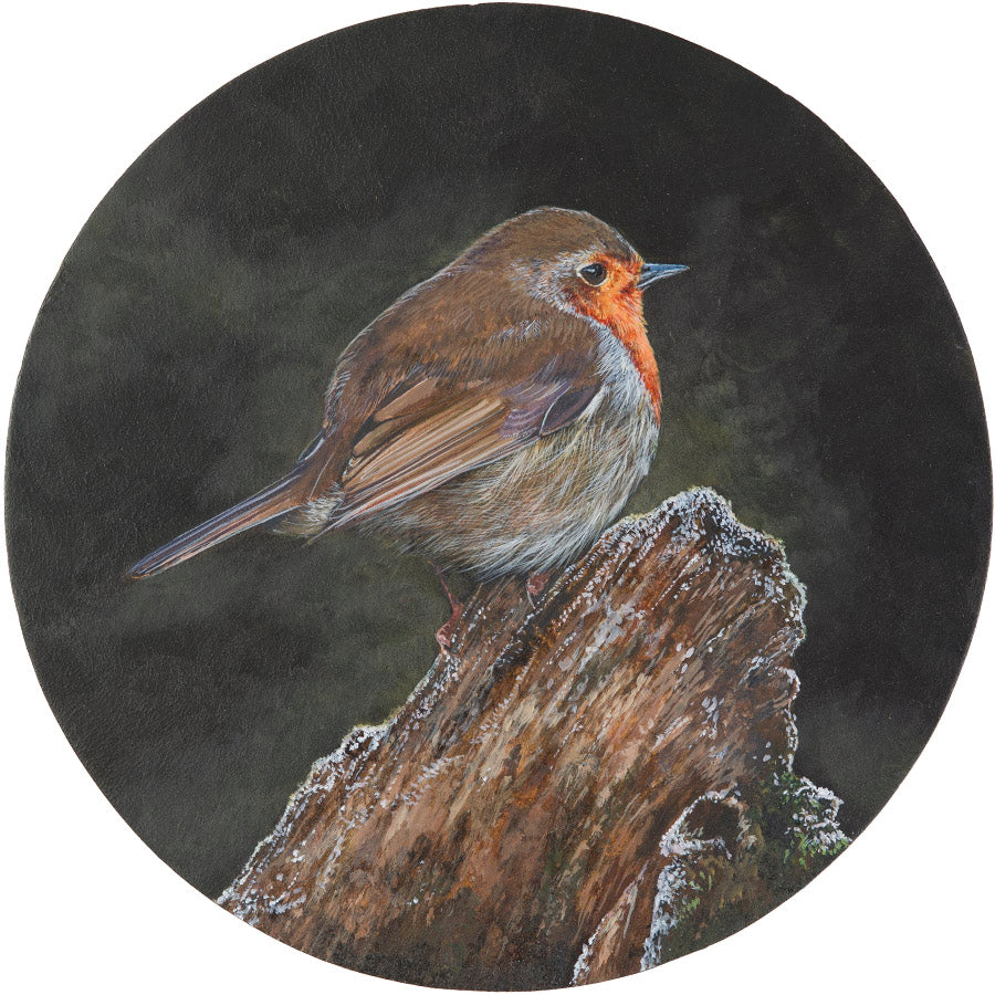 Rotund Robin limited edition fine art print.