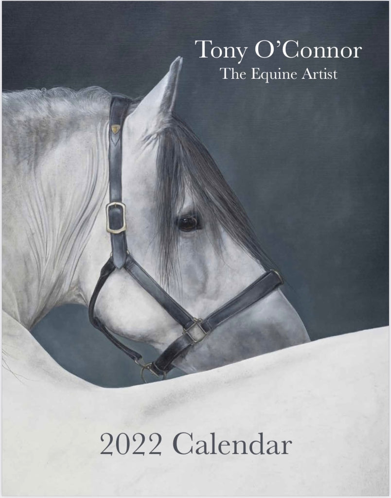 Grey horse cover image Tony O'Connor Equine At Calendar 2022