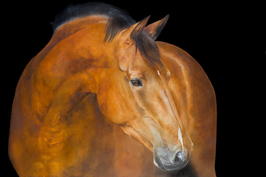 INDIANA- LIMITED EDITION Fine Art Print