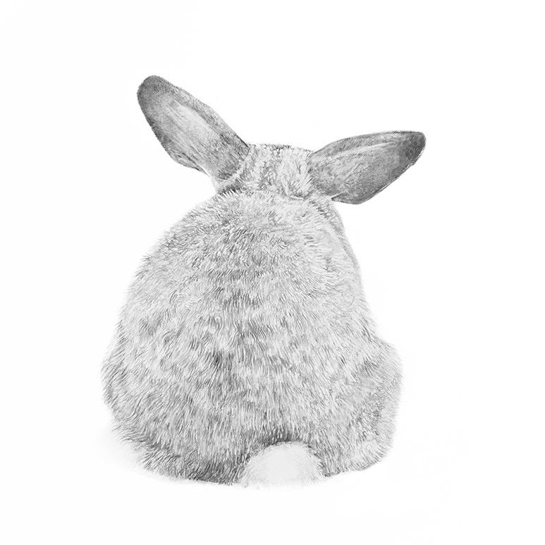 Don’t be glum, It’s a Bunny Bum giclee print