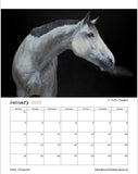 January 2022 calendar image of equine art piece by Tony O'Connor entitled A Soft Breath featuring a grey horse