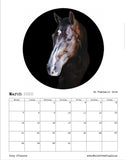 March 2022 calendar image of equine art piece by Tony O'Connor entitled An Buachaill Gorm featuring a bay horse