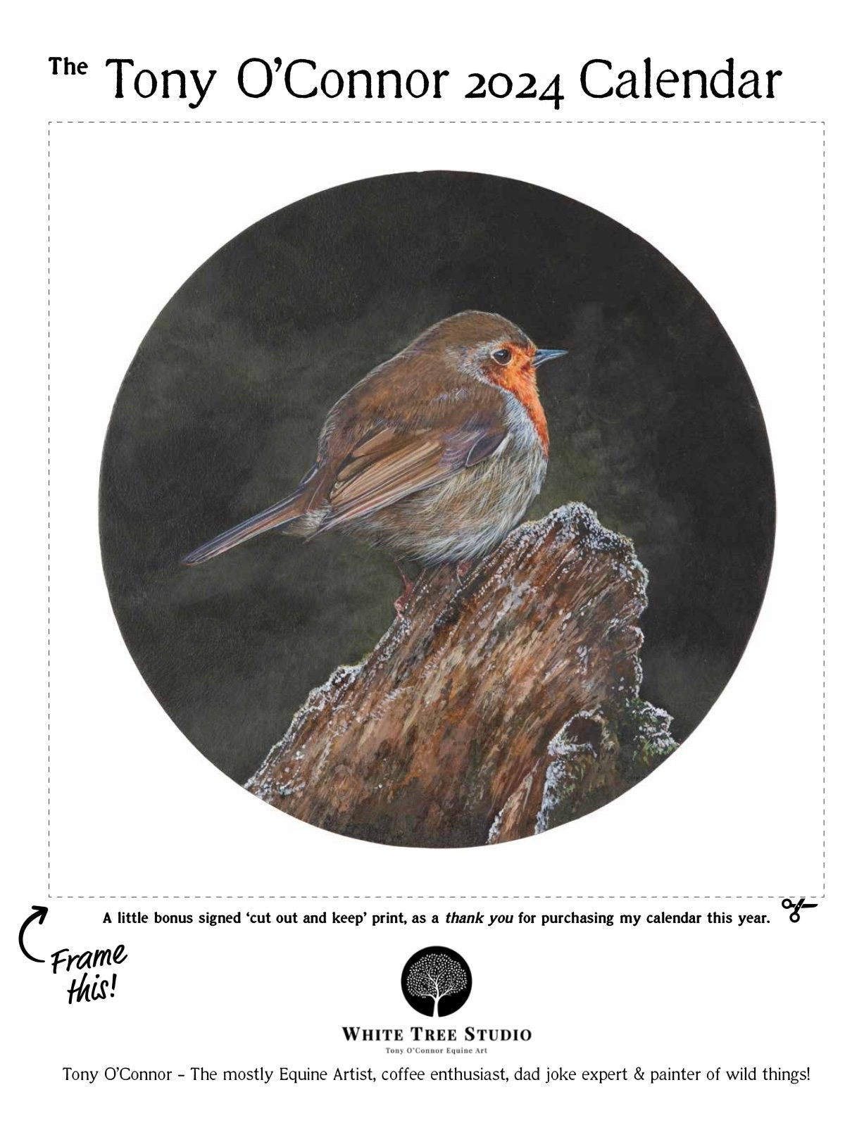 Back cover featuring cute robin image entitle 'O na Scathanna' which translates as 'From the Shadows'